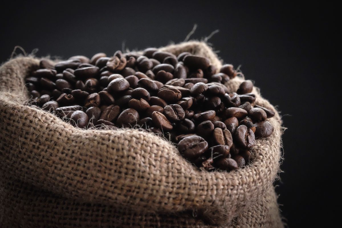 Mi a különbség az arabica és a robusta kávé között?